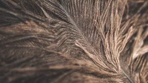 Photo Hair Growth Tips