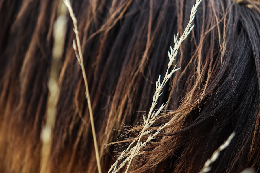 Hair Loss Myths