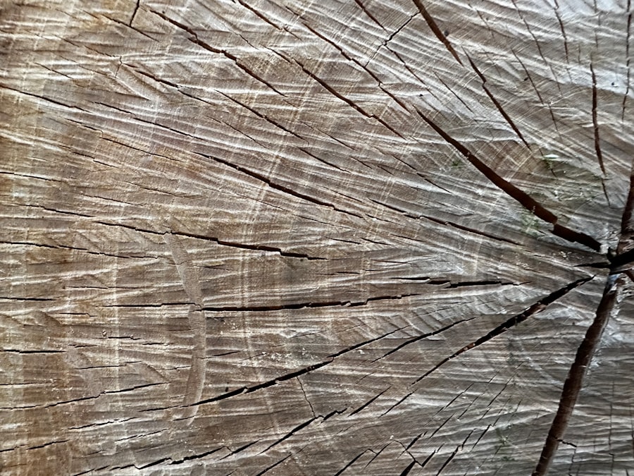 Photo Grey Hair Myths