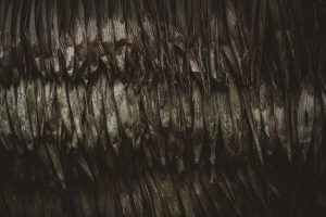Photo Hair Turns Grey Early